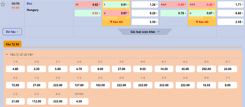 Thông tin bảng tỷ lệ kèo bóng đá Đức vs Hungary