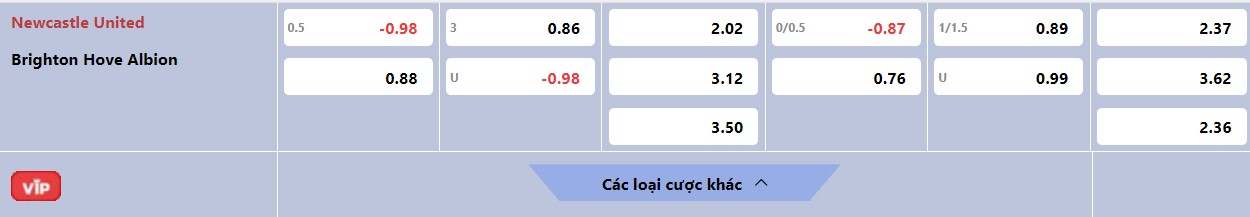 Soi kèo bóng đá Newcastle vs Brighton